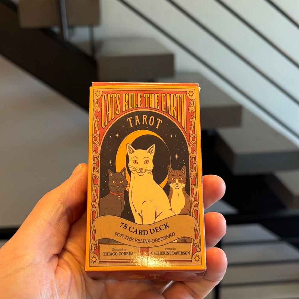 Cats Rule The Earth Tarot Deck - Orange & Black Box